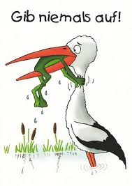 Gib niemals auf